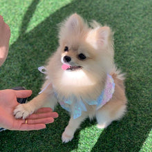 画像をギャラリービューアに読み込む, エアリーキュートウェア