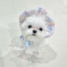 画像をギャラリービューアに読み込む, エアリーキュートウェア